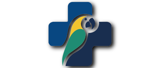 Exemplo de logo com sombra