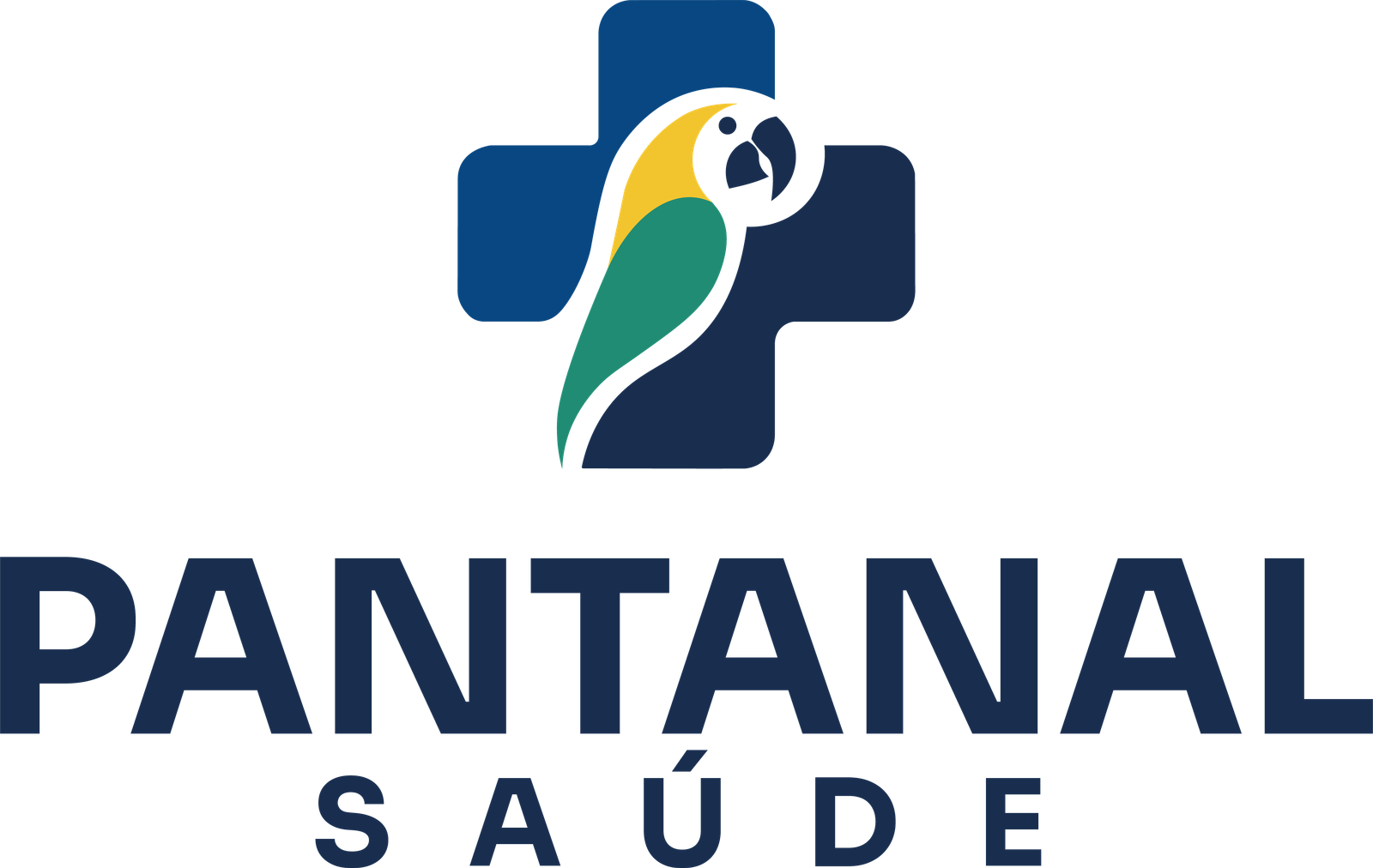 Logo Pantanal Saúde, versão vertical para fundo claro